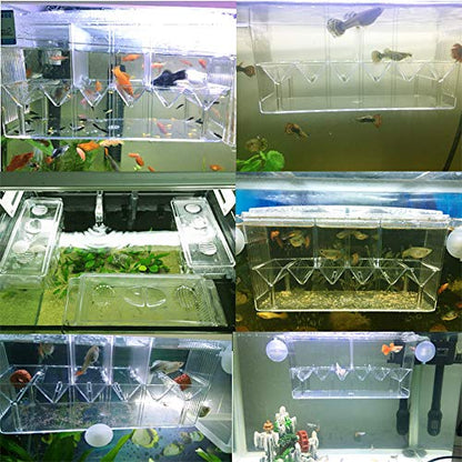 Fish Breeding Box, 3 Rooms HD Aquarium Breeder Box with Suction Cups Hatchery Acrylic Fish Incubator Isolation with Artificial Plant for Guppy Hatchery - size: 3 Rooms