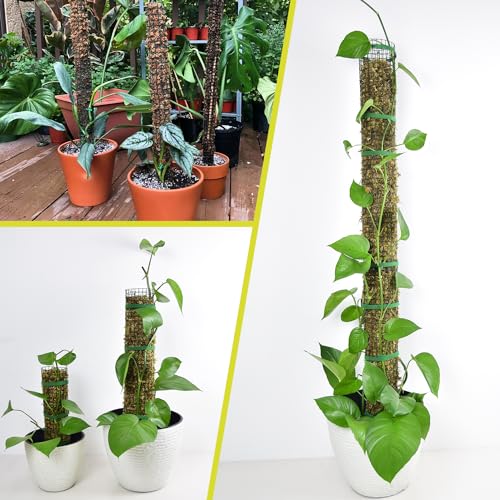 4 Pack Metal Moss Pole, 40" Moss Poles for Plants Monstera, Stackable Sphagnum Moss Pole for Plants Work with Sphagnum Moss(4 Pack 40") - color: 4 Pack 40"