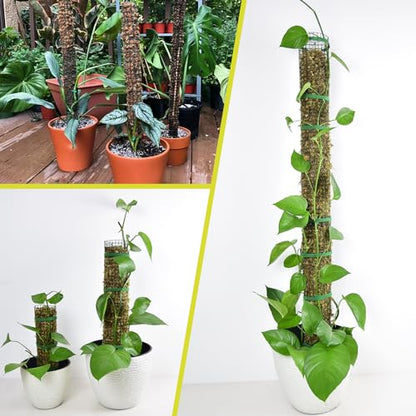 4 Pack Metal Moss Pole, 40" Moss Poles for Plants Monstera, Stackable Sphagnum Moss Pole for Plants Work with Sphagnum Moss(4 Pack 40") - color: 4 Pack 40"