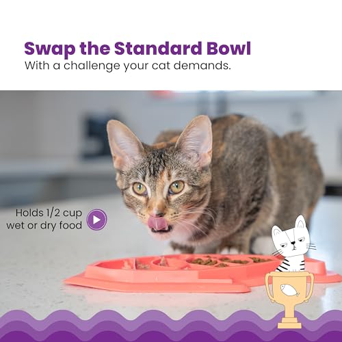 Catstages Fishie Fun Feed Mat – Non-Slip Slow Feeder Mat for Cats with Catnip, Crinkle Sounds & Engaging Play, ½ Cup Food Capacity, Pink