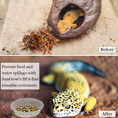 SunGrow Reusable Gecko Food & Water Cups, 100 Pcs, 1 oz. Recyclable Plastic Bowls, Fits Small Stands & Feeders, Durable & Easy to Clean, Ideal for Reptiles - in Resealable Bag