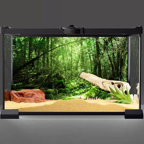 AWERT Vinyl 36x24 inches Tropical Terrarium Background Rainforest Aquarium Background Green Tree Reptile Habitat Background