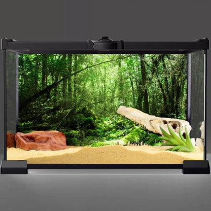 AWERT Vinyl 36x24 inches Tropical Terrarium Background Rainforest Aquarium Background Green Tree Reptile Habitat Background