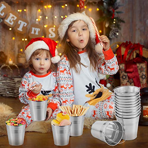 Toyvian Mini Metal Buckets with Handles, 4inch 12pcs Silver Tinplate Flower Pots for Classroom Small Treats Goodie Gift Bags Alternative for Kids Holiday Sandbox Toys