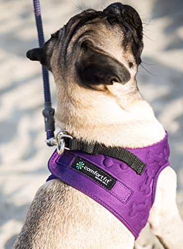 Comfort Fit Dog Harness, Purple, Small - color: Purple, size: S (Chest 12" - 15.5")