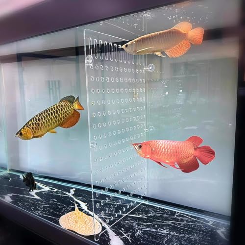Rygcrud Aquarium Divider – 5mm Thick Transparent Acrylic Panel with Suction Cups, Fish Tank Isolation Board Partition for Divide Space(44x65cm) - size: 44x65cm