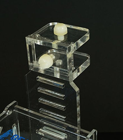 Collapsible RF-300C Acclimation Box