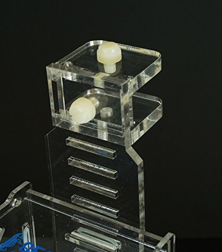 Collapsible RF-100C Acclimation Box