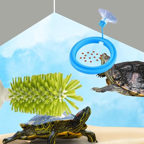 Turtle Brush with Suction Cup & Feeding Ring, 2-Piece Cleaning & Feeding Set (Green)