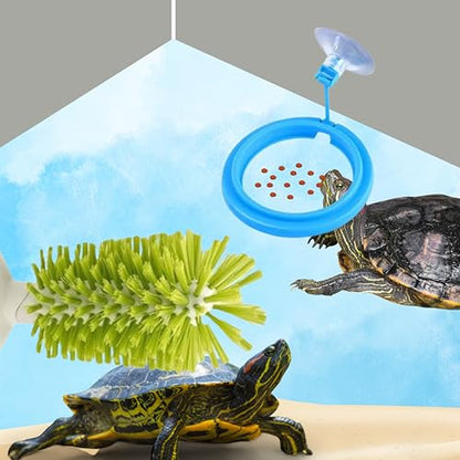Turtle Brush with Suction Cup & Feeding Ring, 2-Piece Cleaning & Feeding Set (Green)
