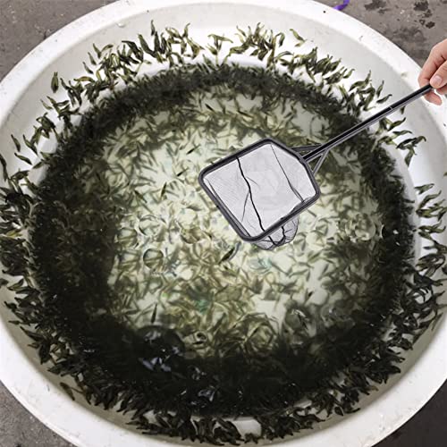 Aquarium Fish Net, Lightweight Nylon Aquarium Shrimp Net Fish Fishing Net Fish Net Mesh Fish Catching Mesh Tool with Plastic Handle