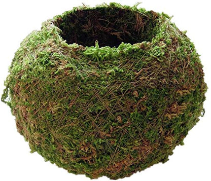 Moss Ball Flower Pot Natural Planter Bonsai Plant Holder Bird Nest for DIY Gardening Home Table Decoration - 18cm