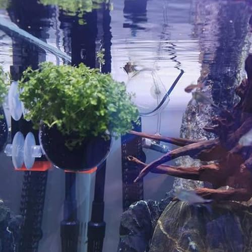 WHJY Transparent Glass Round Aquarium Suction Cups - Plant Holder, Fish Tank Decor - Set of 4