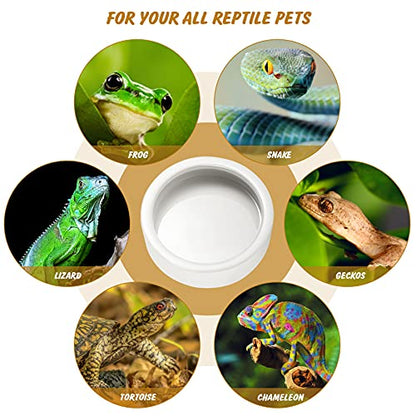 Worm Dish - Large 2 Pcs Reptile Food & Water Bowl for Lizard, Gecko, Chameleon, Hermit Crab, Bearded Dragon & More - Ceramic Anti-Escape Mini Reptile Feeder