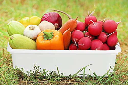 5-Pack Commercial Bus Tubs Box/Tote Box, White Plastic Storage Bin with Handles/Wash Basin Tub (8 Liter) - color: White, size: 8 Liter-White