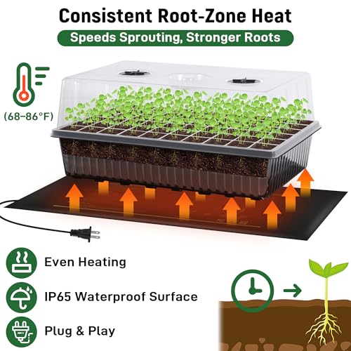 DazSpirit 60-Cell Self-Watering Seed Starter Kit with Grow Light and Heat Mat, Seedling Tray with Humidity Dome, Indoor Plant Germination Tray for Beginners - Grow Tomatoes, Peppers, Herbs & Flowers