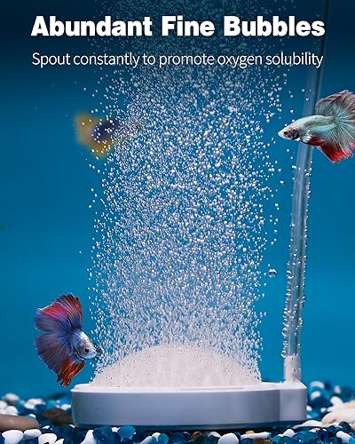 Pawfly Aquarium Hemispherical Air Stone for Air Pump Fish Tank Air Stone Disc Bubbler Round Micro Bubble Release Tool Oxygen Diffuser for Fish Tanks Buckets Small Ponds and DWC System