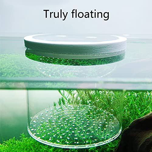 Breeding for Tank for Aquarium Fry Isolation Box Small Hatchery Boxes for Marine Fish Transparent Floating Desi Aquarium Breeder Tank Breeding for Fish Incubator Isolation Box Net