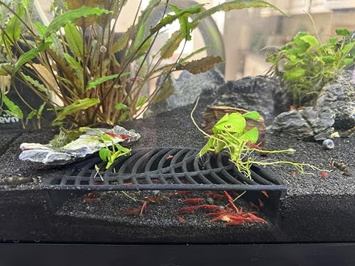 Shrimp Breeding Hide | Shrimp Cave | Shrimp Hide | Tunnel | Black