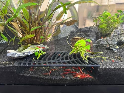 Shrimp Breeding Hide | Shrimp Cave | Shrimp Hide | Tunnel | Black