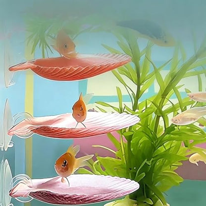 Betta Fish Bed, 4 Pieces Shell Shaped Resting Pads, Betta Resting Spot with Suction Cup for Aquarium Tank, Shrimp Breeding, Relaxation Cave, and Pet Store Display