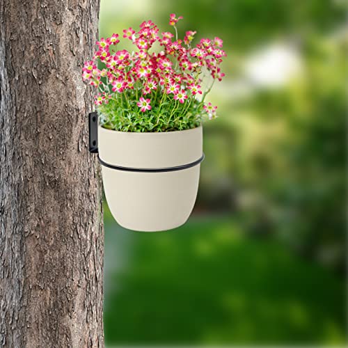 6 Pack 6 Inch Wall Flower Pot Holder Ring Plant Hanger, Metal Planter Hooks Wall Mounted Bracket Heavy Duty for Outdoor Indoor - size: 6 inch-6 Pack