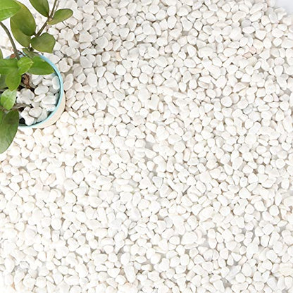 18-lb Bulk Bag White Pebbles 1/2" Size Aquarium Gravel Outdoor Garden Paving Plant Decorative Stones…