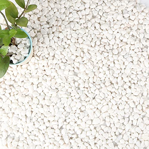 18-lb Bulk Bag White Pebbles 1/2" Size Aquarium Gravel Outdoor Garden Paving Plant Decorative Stones…