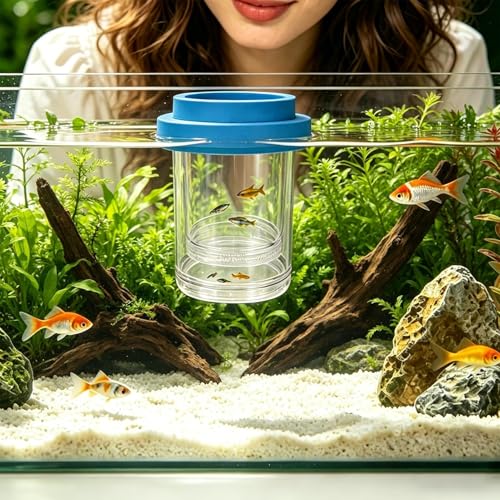 Floating Fish Breeder Box, Fry Hatching Incubator, Transparent Separator Chamber, Professional Aquatic Nursery, Heavy Duty Spawning Hardware - color: small