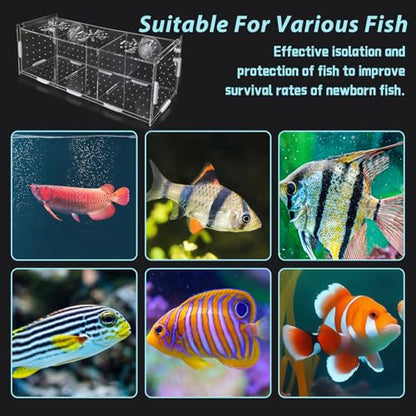 Acrylic Fish Breeding Box，Guppy breeding Box Acrylic Fish Isolation Box Aquarium Incubator with Suction Cups for Guppy Shrimp Small Baby Fishes（3.9 x 3.9 x11.8 in） - size: L(3.9 * 3.9 * 11.8in)