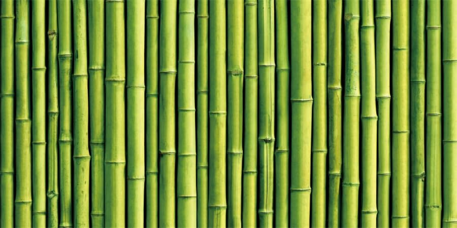 36x24inches Aquarium Background Green Bamboo Backdrop Terrarium Background Reptile Habitat Fantasy Underwater World Fish Tank Decoration Vinyl Background