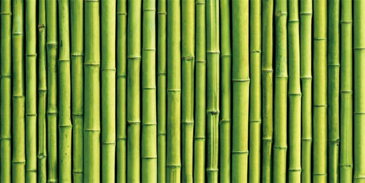 36x24inches Aquarium Background Green Bamboo Backdrop Terrarium Background Reptile Habitat Fantasy Underwater World Fish Tank Decoration Vinyl Background