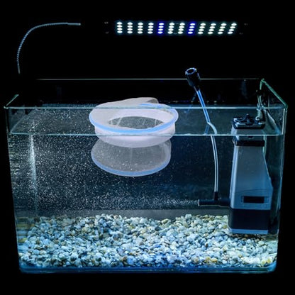 LALAFINA Aquarium Breeding Box Fish Tank Isolation Chamber Floating Nylon Mesh Hatchery for Guppy Fry Spawning and Shrimp Nursery