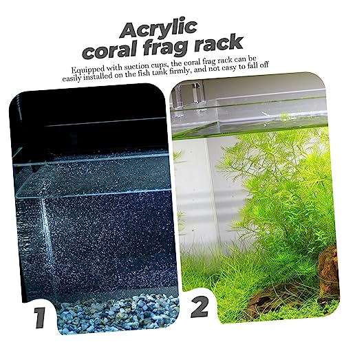 Toddmomy Coral Rack Stand for Fish Tank Acrylic Coral Holder for Aquatic Displays Wear-Resistant Versatile Design Aquarium Supply