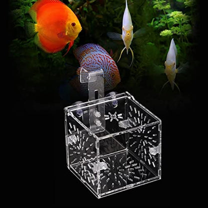 Acrylic Transparent Fish Tank, Breeding Isolation Box Aquarium Hatchery Incubator Holder with Screw Reinforcement, Convenient Use Comes with Isolation Board for Fish Breeding
