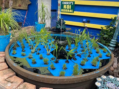 BEEMATS ECOISLE Floating Hydroponic Growing System, 7-Plant Capacity, Hexagonal Design with Aerated Pots, Water Garden Filter (7)