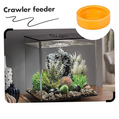 Shrimp Feed Dish Medium Escape Feeder Bowl for Fish Reptiles and Small Pets Durable Orange Round Water Basin for Aquatic and Terrestrial Use
