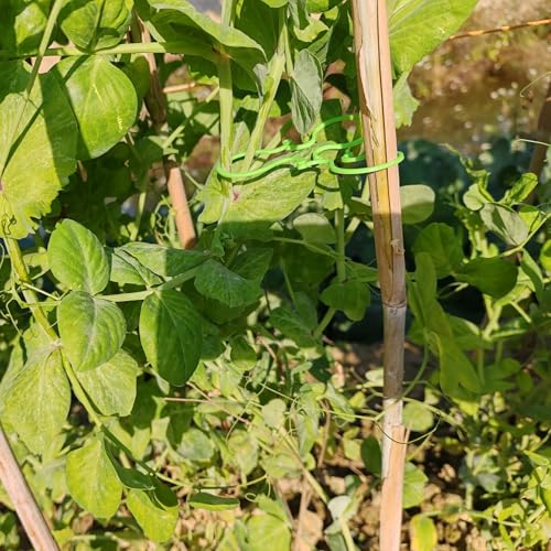 500PCS Plant Twist Clip Ties Garden Plant Support Clips Vegetables Tomato Vine Flower Clips Plant Locks for Securing Plants