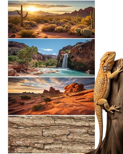 4 Pcs 48 x 24 Inch Reptile Tank Background Reptile Tank Accessories Polyester Terrarium Background Decor for Leopard Gecko Turtle Bearded Dragon(Canyon Waterfall, Bark, Cactus, Gobi Desert)