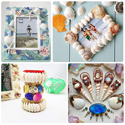 LUCKY BABY Sea Shells Mixed with Sea Glass 7 Ounces for Crafts, Natural Scallop Seashells for Decorating, Seaglass Decor for Fish Tank Vase Fillers Home Deco, Beach Themed Party Wedding