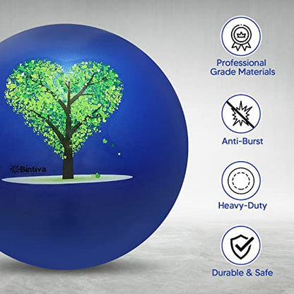 bintiva Exercise Ball - color: Stabilizing Sand - Blue, size: M (58-65cm)