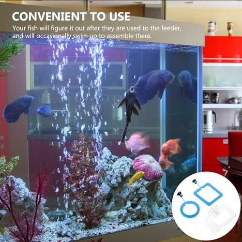 Toyvian 3pcs Fish Feeding Rings Aquarium Feeding Circle Set with Suction Cup Fish Feeder for Tank and Tropical Tool