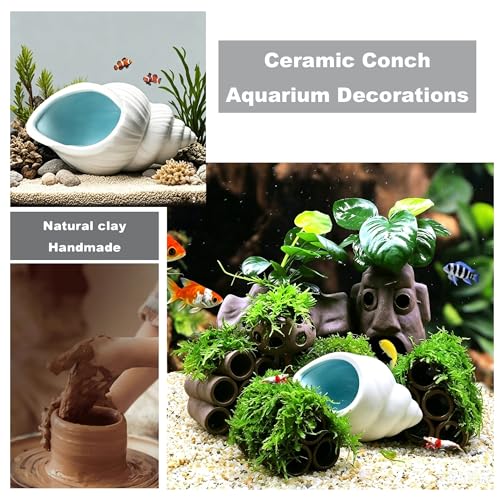 Ceramic Conch Betta Tank Decor,Beach-Themed Aquarium Hideout | For Bettas, Axolotls, Shrimp & Hamsters,Easy to Clean,Fits Small/Medium Tanks/Cages,or Decorative desktop jewelry organizer