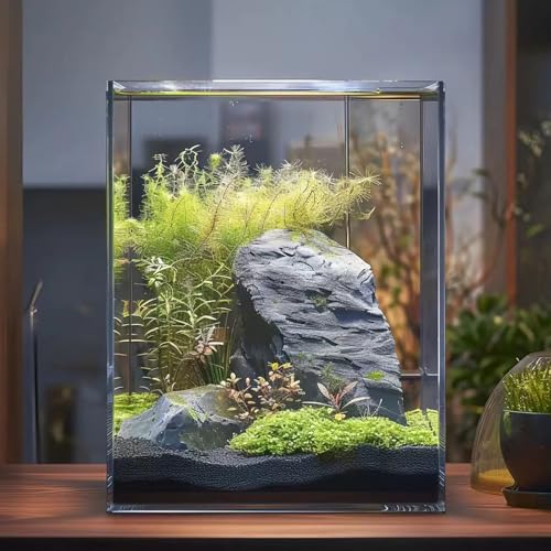 3 Gallon Glass Fish Tank, Easy to Maintain Small Aquarium for Betta/Snails/Shrimp and Aquatic Planting.