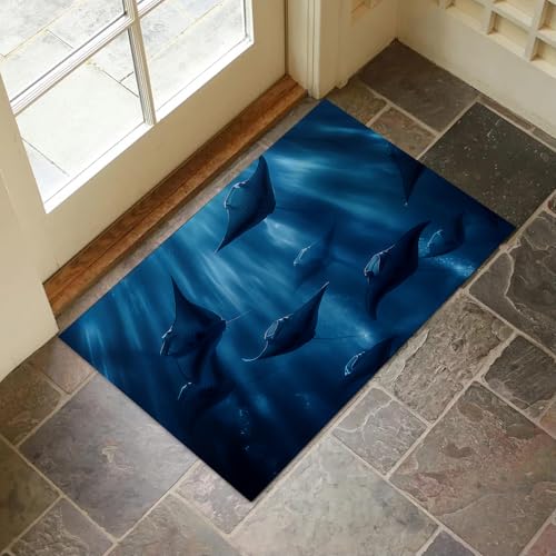 Ocean Stingray Indoor Door Mat for Entryway, 17x29.5 Inch, Underwater Scene Floor Doormat for Home Decor, Non-Slip Rug Mat for Living Room, Kitchen, Bedroom, Gifts for Marine Life Lovers