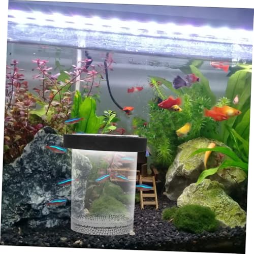 Ipetboom Box Pot Fish Breeding Cage Aquarium Hatchery Tank Hatchery Incubators Breeding Cage for Guppy Betta Fish Tank Floating Fish Tank Hatching Incubator Sink Small Fish