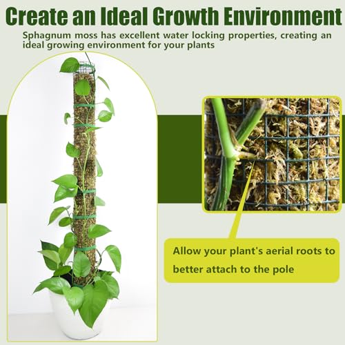 6 Pack Metal Moss Pole, 15" Moss Poles for Plants Monstera, Stackable Sphagnum Moss Pole for Climbing Plants (6 Pack 15") - color: 6 Pack 15"