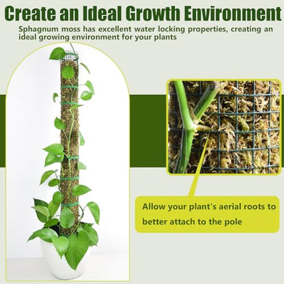 6 Pack Metal Moss Pole, 24" Moss Poles for Plants Monstera, Stackable Sphagnum Moss Pole for Plants Work with Sphagnum Moss(6 Pack 24") - color: 6 Pack 24"