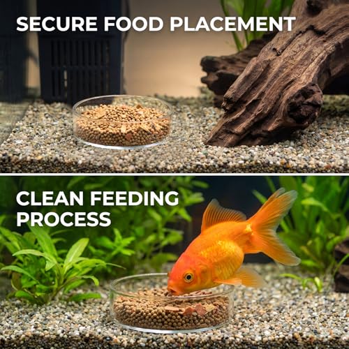 4 Pcs Shrimp Feeding Dish, Glass Fish Tank Feeder 65mm and 85mm Round Clear Aquarium Feeding Dish Freshwater Tray Feeder