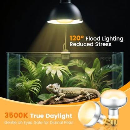 Dual Reptile Light Fixture with 100W Daytime Heat Bulb & 100W Nighttime Ceramic Heat Emitter, 2 Independent Switches, Reptile Heat Lamp Combo Pack - No UVB - size: ST1